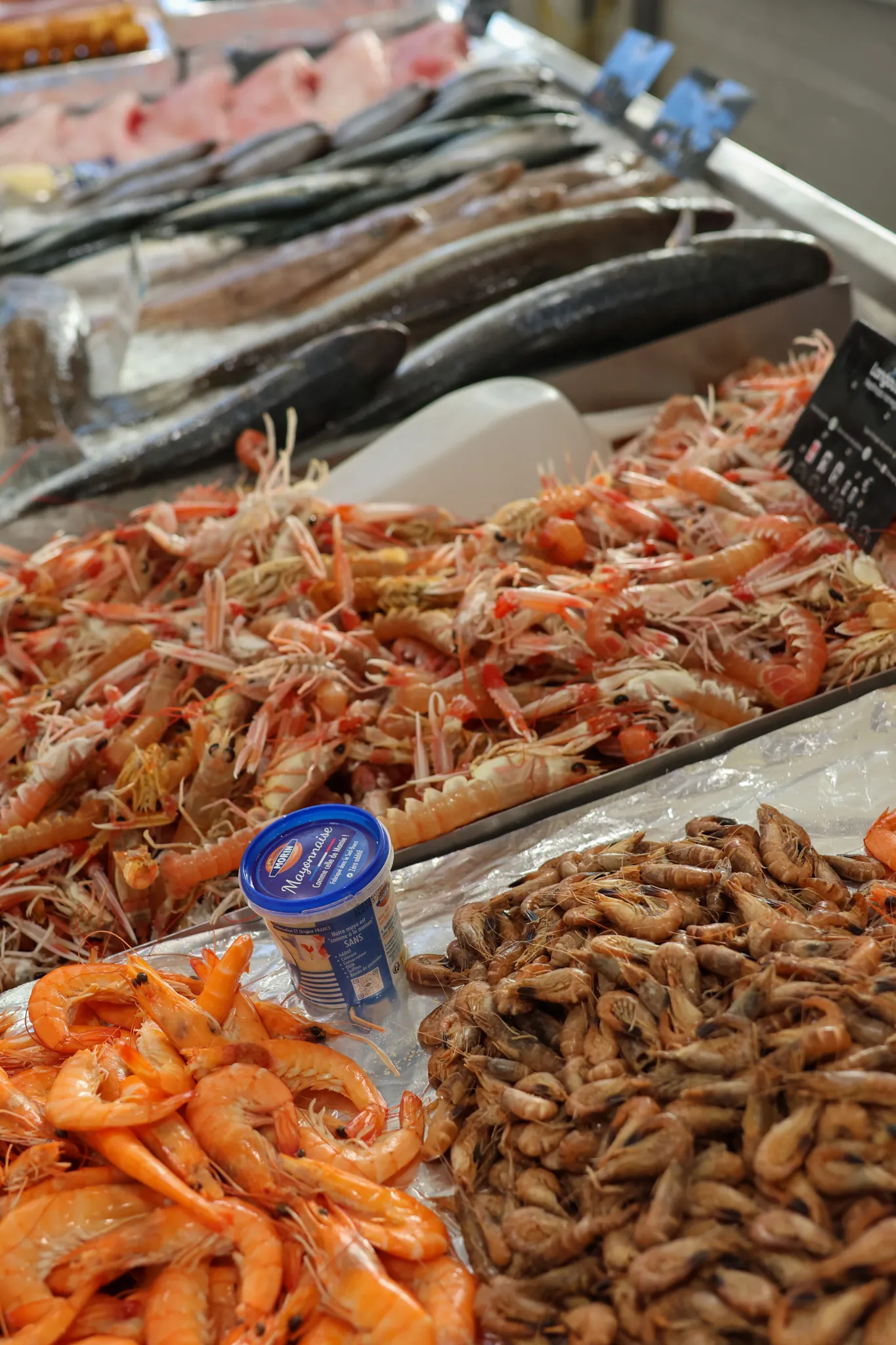 Étal de langoustines, crevettes roses et bouquets issus de la pêche locale